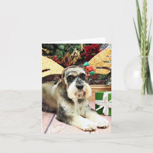 クリスマス – Schnauzer - Apache (正面)
