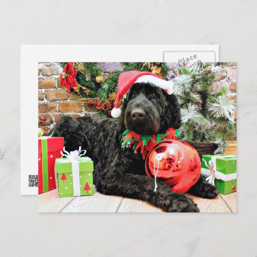 クリスマス- Schnoodle -ゼウス シーズンポストカード (正面/裏面)
