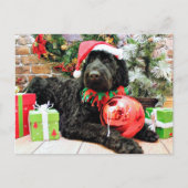 クリスマス- Schnoodle -ゼウス シーズンポストカード (正面)