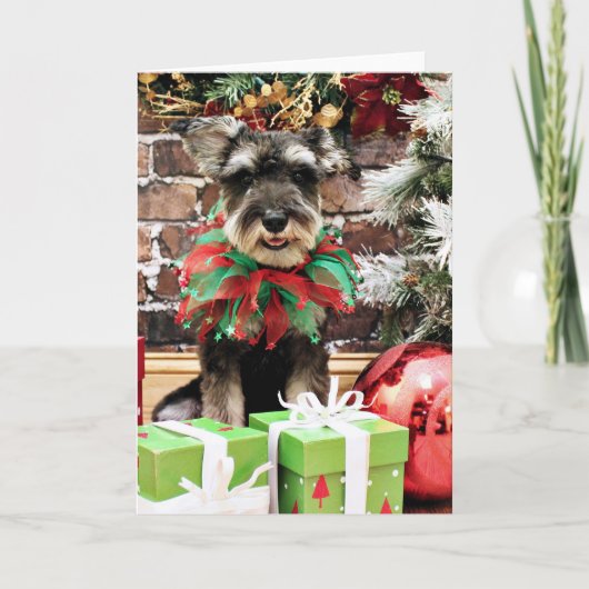 クリスマス – Tom Dooley - Schnauzer #2 (正面)