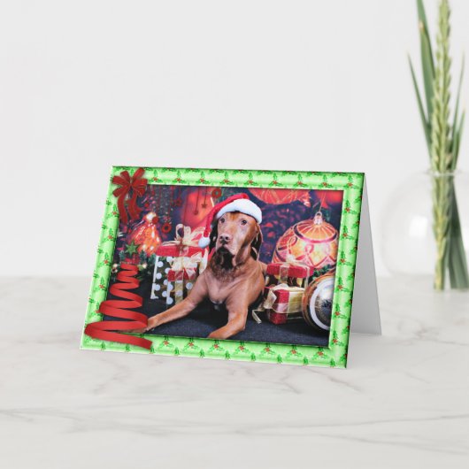 クリスマス- Vizsla - Budda シーズンカード (正面)