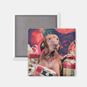 クリスマス – Vizsla - Budda マグネット (正面/裏面)