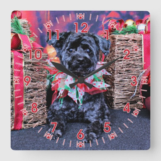 クリスマス- YorkiePoo -ルーシー スクエア壁時計 (正面)