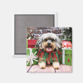 クリスマス – YorkiPoo – オリバー マグネット (正面/裏面)