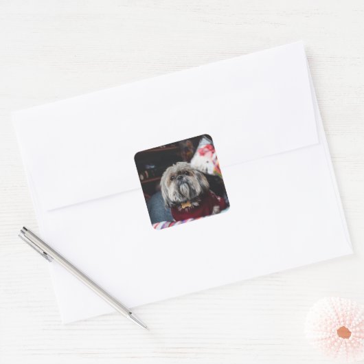 クリスマスBでかわいいラサの子犬 スクエアシール (封筒)