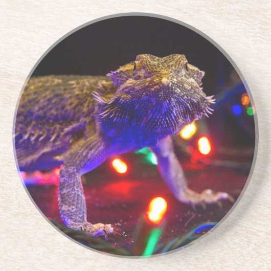 クリスマスBeardie コースター (正面)