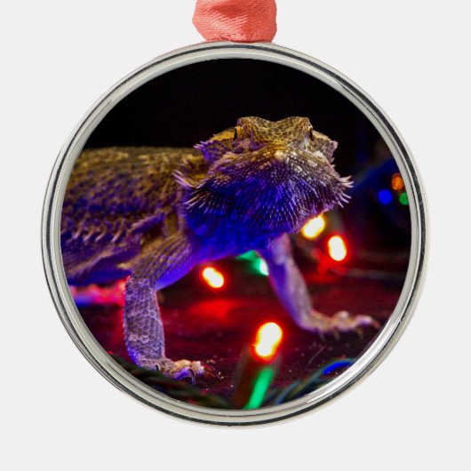 クリスマスBeardie メタルオーナメント (正面)