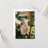 クリスマスcherubカード カード (正面/裏面インサイチュ)