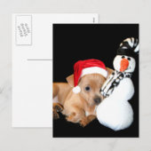 クリスマスChihuahua子犬はがき シーズンポストカード (正面/裏面)