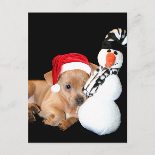 クリスマスChihuahua子犬はがき シーズンポストカード (正面)
