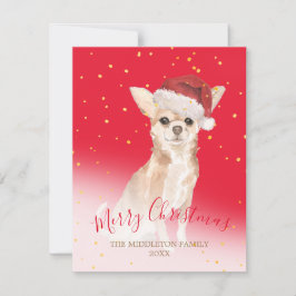 クリスマスChihuahua犬金ゴールド赤い季節の挨拶