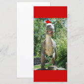 クリスマスTレックス恐竜 (正面/裏面)