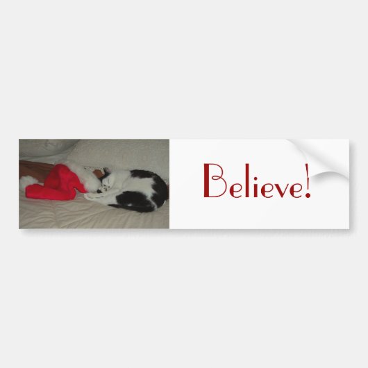 クリスマ信じスキティ猫 バンパーステッカー (正面)