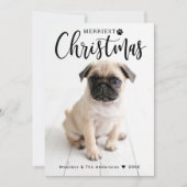 クリスメリースマスグリーンバッファロープレイドペット写真 シーズンカード (正面)