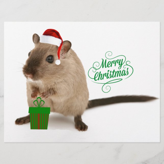 クリスメリーマウス (正面)