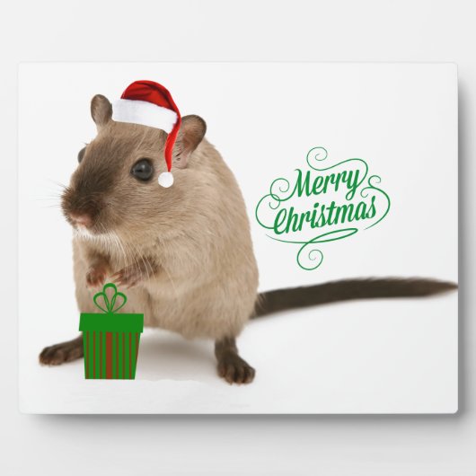 クリスメリーマウス フォトプラーク (正面)