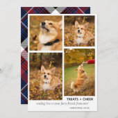 クリスモダンマスドッグの写真コラージュペット シーズンカード (正面/裏面)