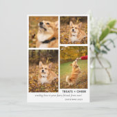 クリスモダンマスドッグの写真コラージュペット シーズンカード (スタンド正面)