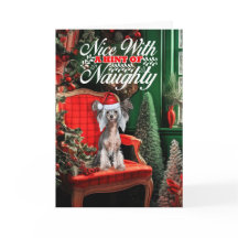 クリス中国のテッドクリスマスドいけなッグまたはニース