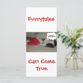 クリス信じスマスブラック&ホワイトの子猫 (スタンド正面)