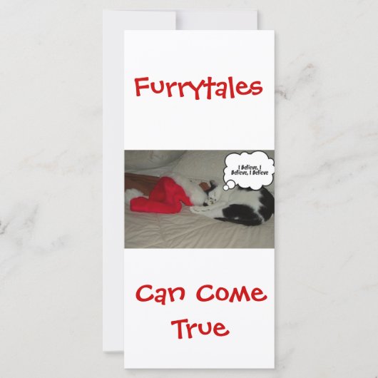 クリス信じスマスブラック&ホワイトの子猫 (正面)