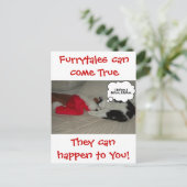 クリス信じスマスブラック&ホワイトの子猫 シーズンポストカード (スタンド正面)