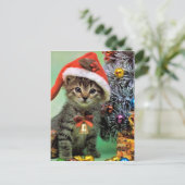 クリス大切マス猫 シーズンポストカード (スタンド正面)