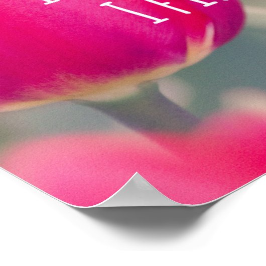 クリス感動的チャン引用文神の平和 ポスター (角)