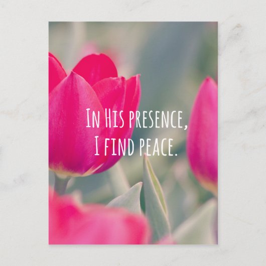 クリス感動的チャン引用文神の平和 ポストカード (正面)