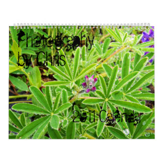 クリス2011のカレンダーによる写真撮影 カレンダー