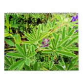 クリス2011のカレンダーによる写真撮影 カレンダー (カバー)