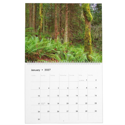 クリス2011のカレンダーによる写真撮影 カレンダー (1月 2027)