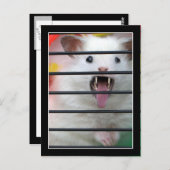 クリッターは卑劣なハムスター ポストカード (正面/裏面)