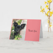 クリッターシッターLVラグーナ カード (黄色い花)