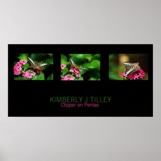 クリッパーオンペンタスランドスケーププリント ポスター (正面)