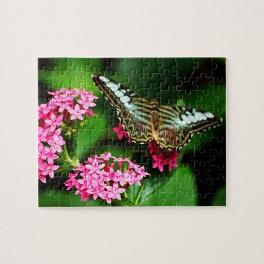 クリッパーオンペンタス1パズル ジグソーパズル (横)