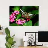 クリッパーオンペンタス1プリント ポスター (ホームオフィス)