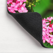 クリッパーオンペンタス1マウスパッド マウスパッド (コーナー)