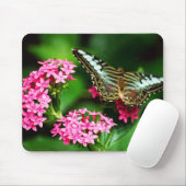 クリッパーオンペンタス1マウスパッド マウスパッド (マウス)