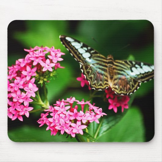 クリッパーオンペンタス1マウスパッド マウスパッド (正面)