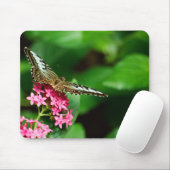 クリッパーオンペンタス2マウスパッド マウスパッド (マウス)