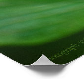 クリッパーオンペンタス3プリント ポスター (角)