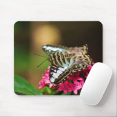 クリッパーオンペンタス3マウスパッド マウスパッド (マウス)