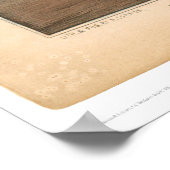 クリッパー船「黄金の光」の燃焼(0143A) ポスター (角)