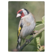 クリップボードの選択 クリップボード (裏面)