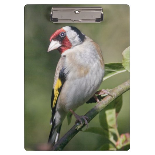 クリップボードの選択 クリップボード (正面)