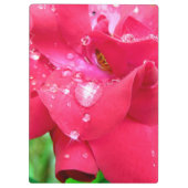 クリップボード上のドロップレット花びら クリップボード (裏面)