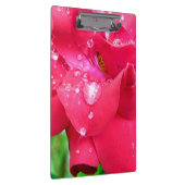 クリップボード上のドロップレット花びら クリップボード (右)