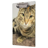 クリップボード (左)