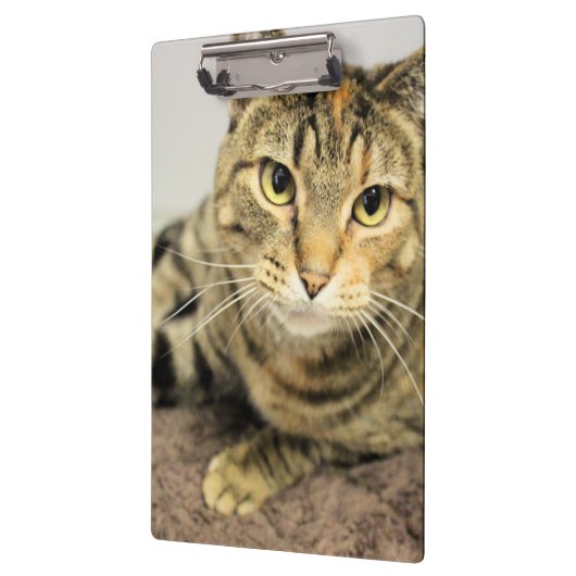 クリップボード (左)